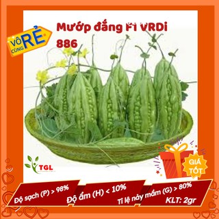 Hạt giống mướp đắng cao sản, hạt khổ qua - hạt giống mướp đắng f1 vrdi 866 - gói 2gr