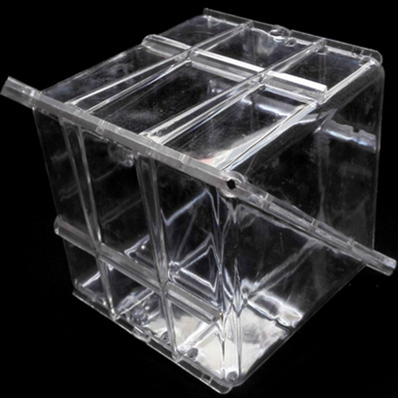 Khuôn Nhựa Trong Suốt Hình Vuông / Trái Tim Kích Thước Lớn Làm Miếng Dưa Hấu