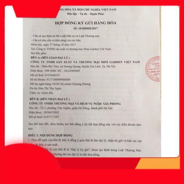 Son rose phiên bản 2019