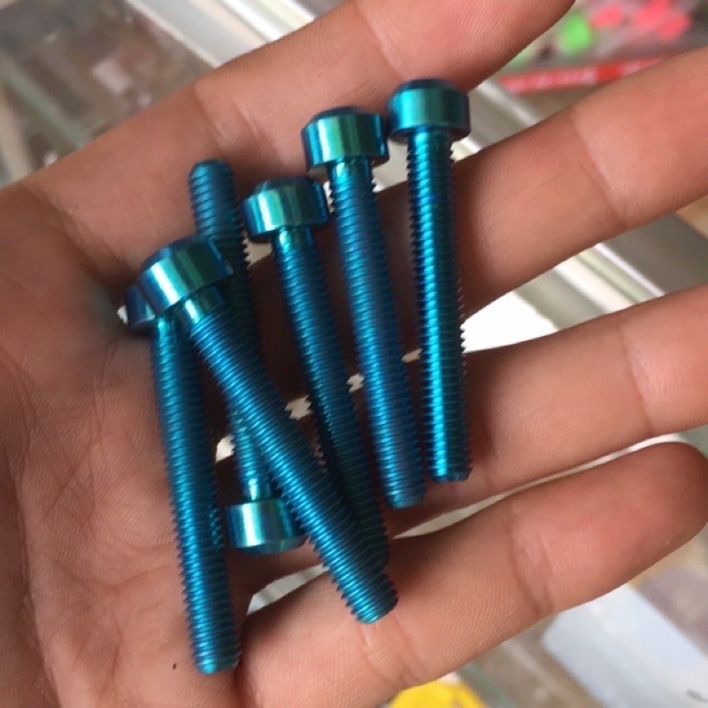 Ốc Titan &amp; Salaya 6li40 Đầu Trụ