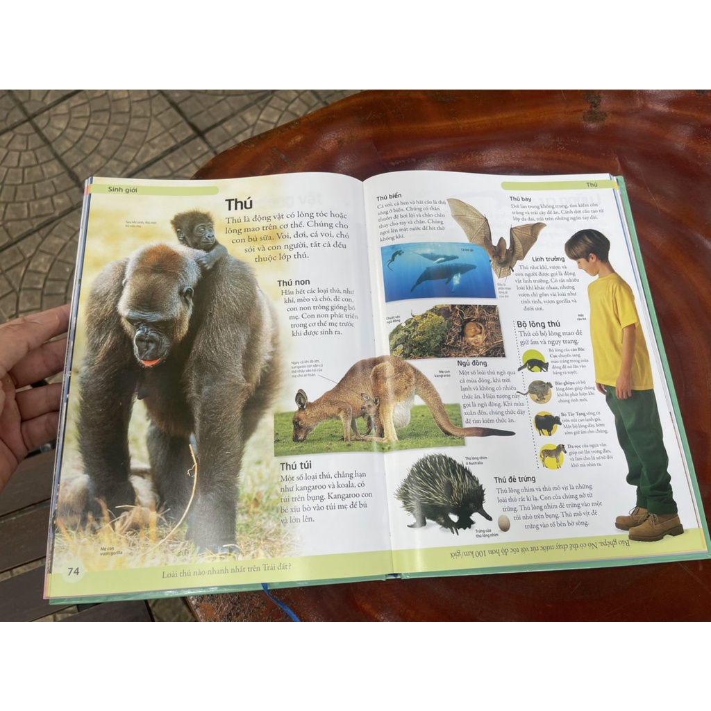 Sách - [Bách khoa cho trẻ em] - Bách Khoa Đầu Tiên – Mở Mang Kiến Thức Khơi Dậy Tiềm Năng – Bìa cứng in màu toàn bộ