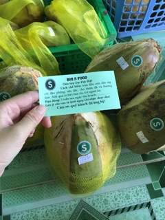 Dừa Sáp Loại Lỏng Trái To - Thương Hiệu Dừa Sáp Big S số 1 tại Trà Vinh