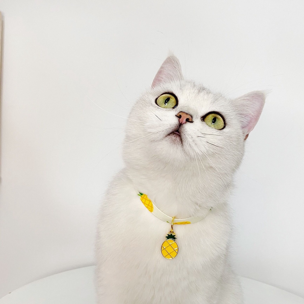 Vòng Đeo Cổ Gắn Chuông Họa Tiết Trái Dâu / Cam Có Khóa Điều Chỉnh Được Cho Thú Cưng