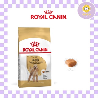 Hạt royal canin adult poodle cho chó poodle trưởng thành