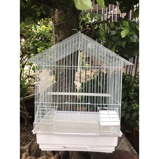 Lồng chim yến, chim khuyên, finch, sóc nhỏ, hamster....