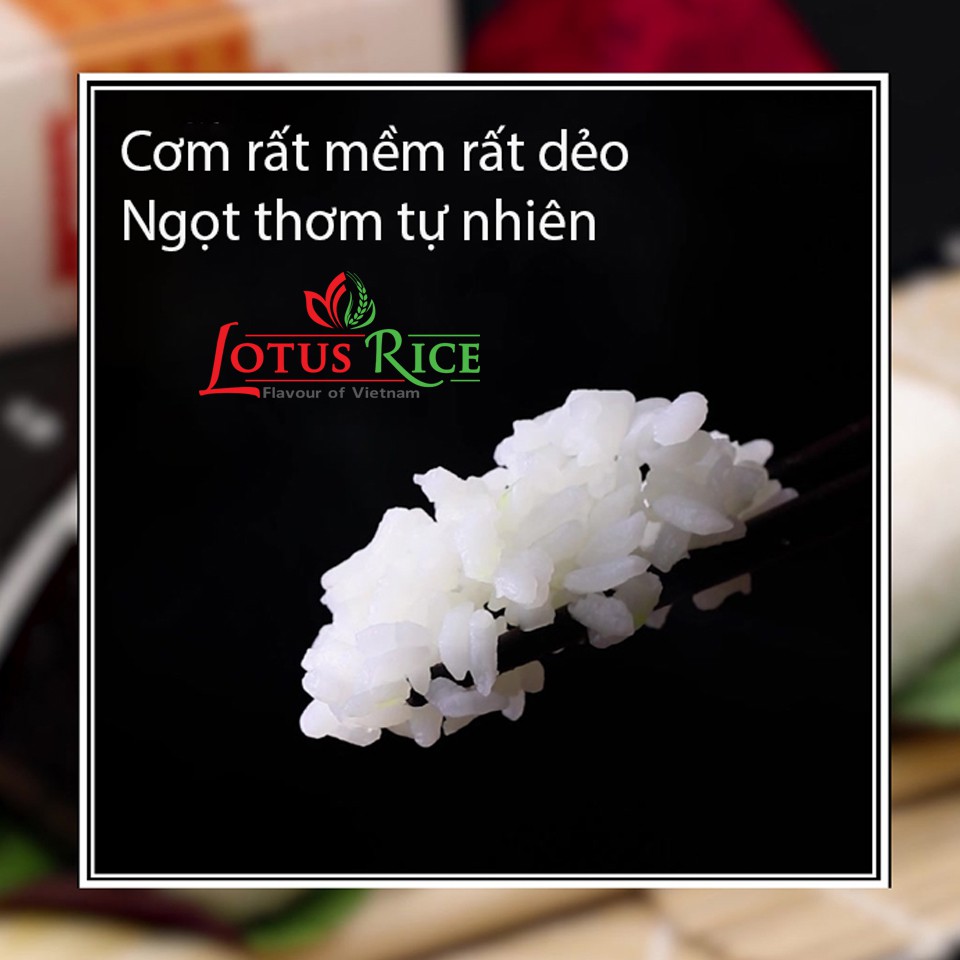 Gạo Thơm Lài Lotus Rice 5kg - Thơm ngon dẻo vừa | BigBuy360 - bigbuy360.vn