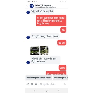Combo 10 cẩm cù tặng 1