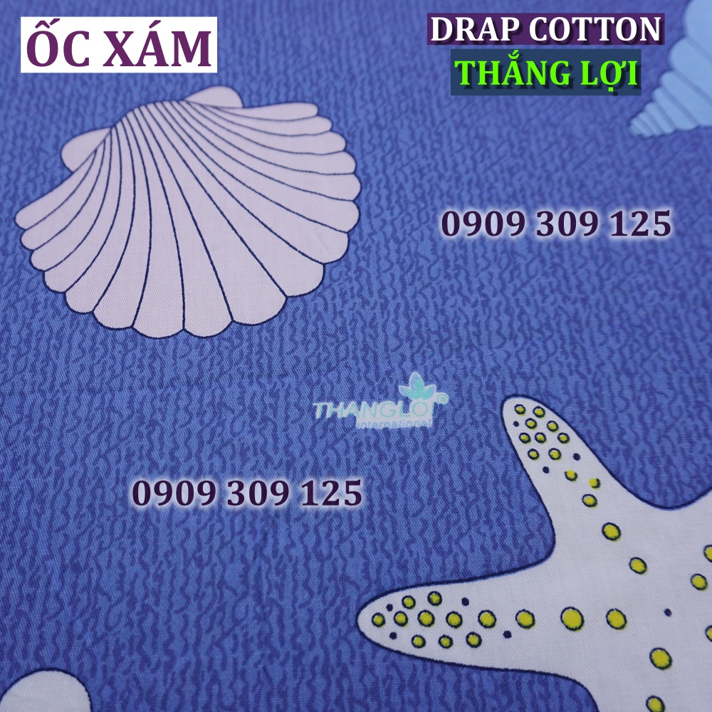 Combo áo gối (2 nằm + 1 ôm) cotton 100% Thắng lợi CHUẨN LOGO