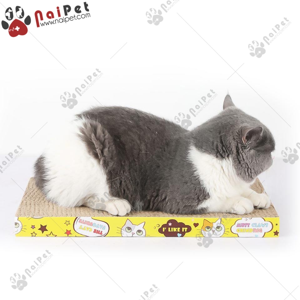 Đồ Chơi Bàn Cào Móng Bằng Carton Cho Mèo