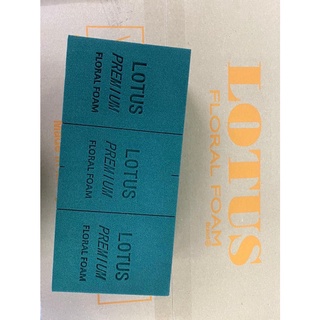 Xốp cắm hoa tươi, hoa khô Lotus - 1 thùng