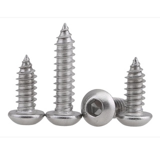 Vít Đầu Lục Giác Tròn Bằng Thép Không Gỉ 304 M2M2.5M3M3.5M M2-M6 Chuyên Dụng