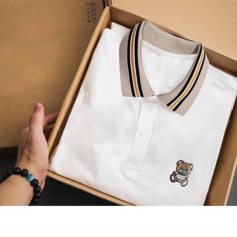 Áo thun Nam Polo vải cotton cao cấp form ngắn tay thêu logo, phối viền cổ sang trọng lịch lãm | BigBuy360 - bigbuy360.vn