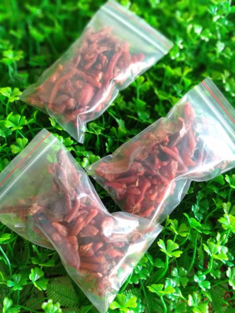 Mủ Gòn Thịt Ngon