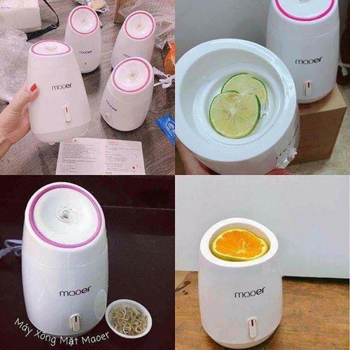 Máy xông hơi mặt hoa quả thảo dược cao cấp Mouer