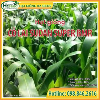 Hạt giống cỏ Lai Sudan Super BMR - gói 1000g/1kg siêu dinh dưỡng dùng trong chăn nuôi trâu, bò, cá, thỏ...