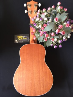 Đàn Ukulele Soprano MHĐ MT-550 (CB2 )