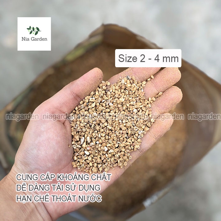 Đá masato giữ màu sen đá rải mặt chậu xương rồng kiểng lá trộn giá thể trồng cây Nia Garden N6