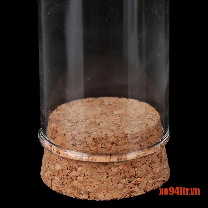 XOITR  1/6 Doll Glass Dome Display Wood Cork Bell Jar With Wooden Base Decoation C