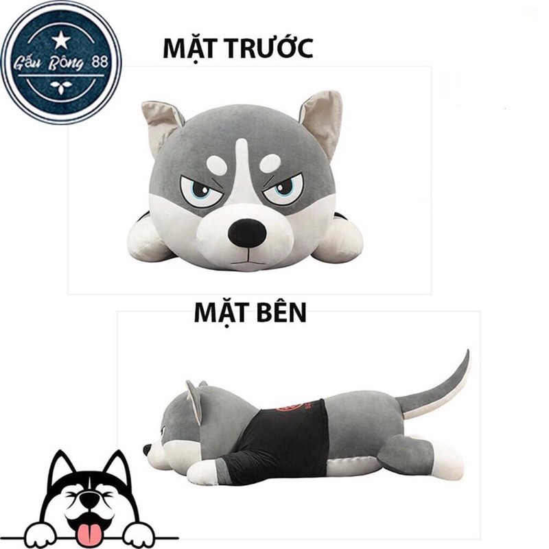 Gấu Bông Chó Husky, Mèo Husky Siêu Yêu