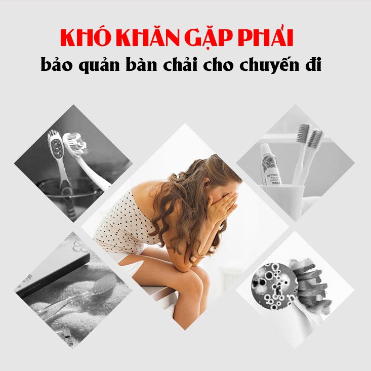 Hộp đựng bàn chải đánh răng điện bảo quản tốt các loại bàn chải khi di chuyển