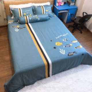 Chăn ga gối cotton lụa khung set 5 món ga phủ trần bông cao cấp