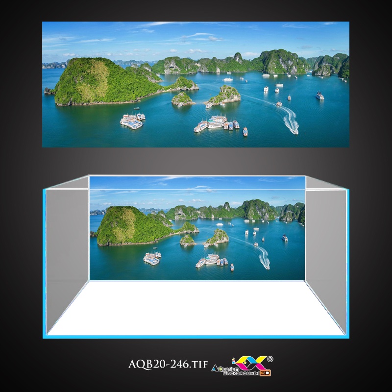 Tranh 3D dán hồ cá - bể cá mẫu vịnh hạ long siêu đẹp và nét, có keo sẵn trên bề mặt, đa dạng kích thước (AQB20-246)