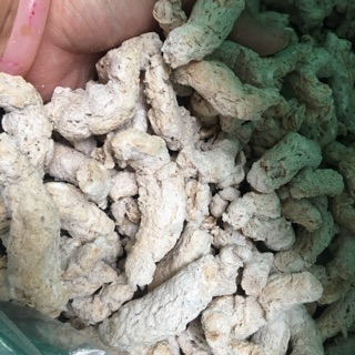Bánh ngũ cốc