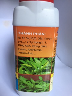 PHÁT CHỒI CỰC MẠNH - Siêu mập đọt, tạo cơi đọt mướt