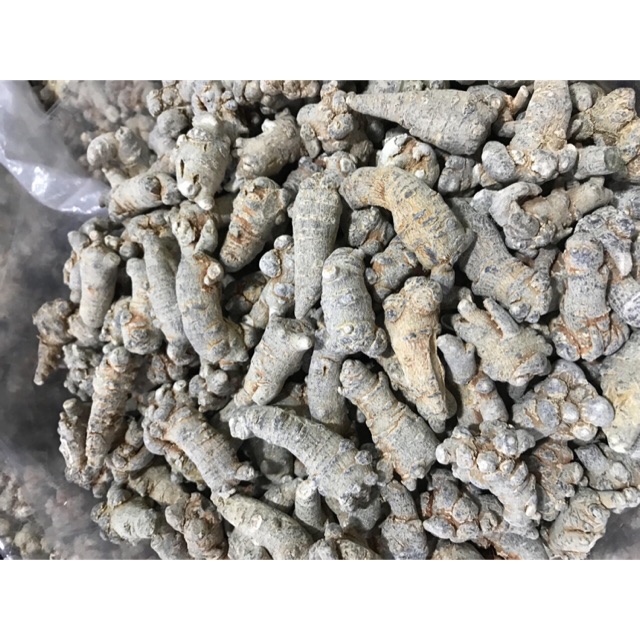 500gr tam thất củ loại 1 9 củ/ lạng