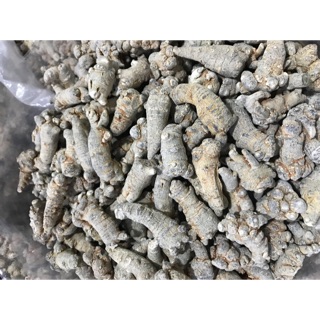 500gr tam thất củ loại 1 9 củ/ lạng
