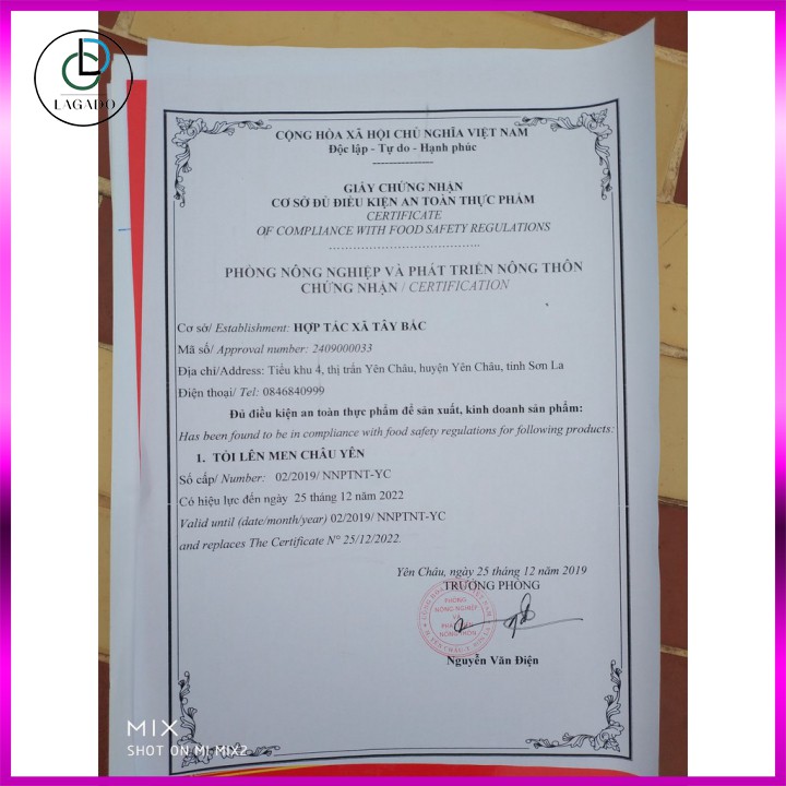 [Mã 267FMCGSALE giảm 8% đơn 500K] [ CHUYÊN SỈ ] 500G TỎI ĐEN LÊN MEN TỰ NHIÊN, TỎI ĐEN CÔ ĐƠN - TÚI 500 GAM | BigBuy360 - bigbuy360.vn