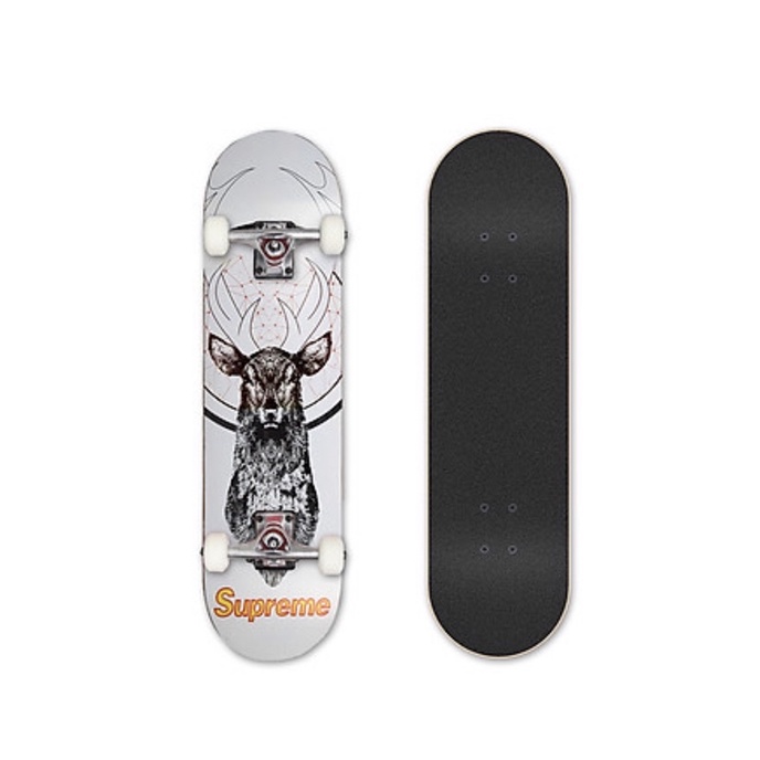 Ván Trượt SkateBoard CoolStep-KUDU-New