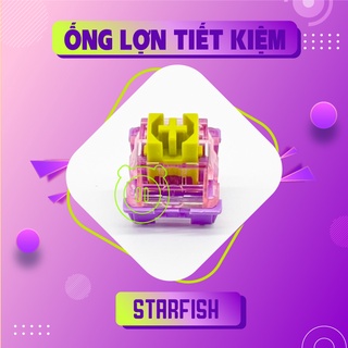 Akko CS Switch Lẻ (Starfish, Sponge)
