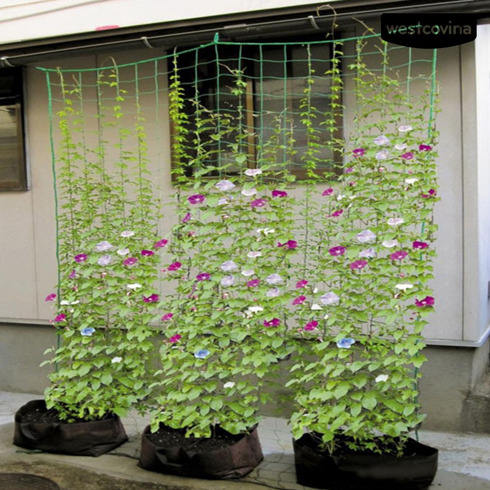 Lưới cho cây dây leo tiện dụng và bền