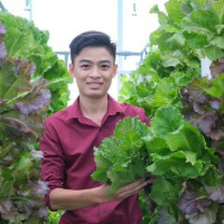 Vườn Thủy Canh MTC