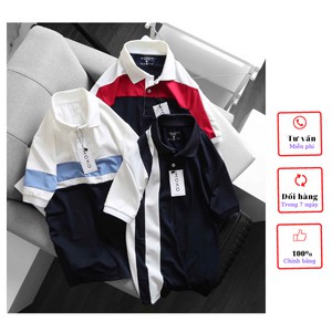 Áo thun polo,áo polo,ao phong,áo phông nam  Vải Cotton Xuất Xịn như hình, Chuẩn Form, Sang Trọng Lịch Lãm
