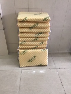 Nệm cho bé kèm theo gối 60x1m2