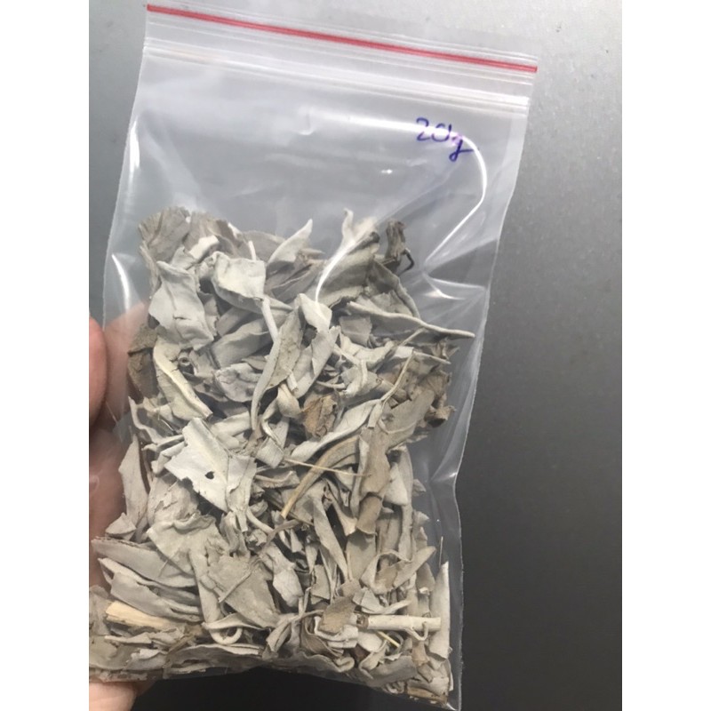 WHITE SAGE VỤN LẺ - XÔ THƠM VỤN