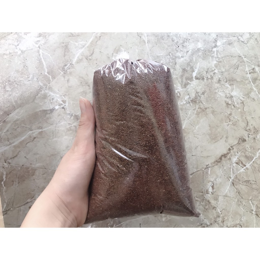 1kg Hạt đình lịch (hạt ngũ hoa) - TD127 sản phẩm handmade từ thiên nhiên