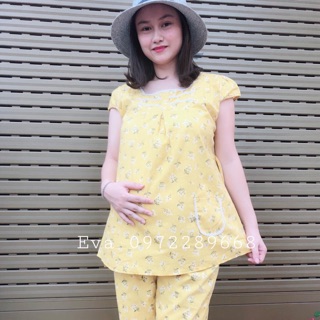 Bộ kate thái