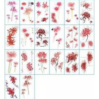 !!  Hình săm dán mẫu hoa bỉ ngạn