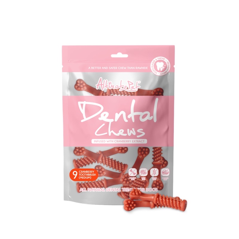 Xương gặm sạch răng Dental Chew - 9 xương size vừa