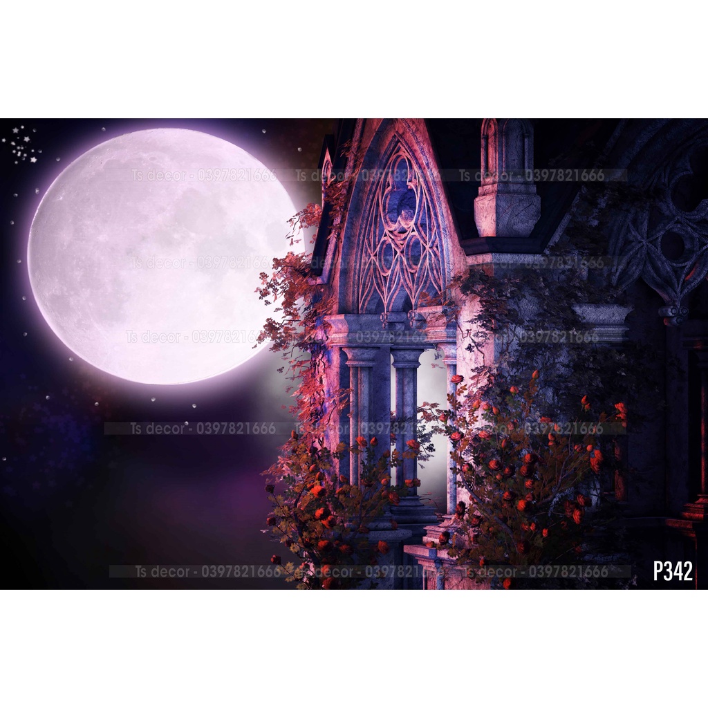 Phông Nền Livestream 3D 5D Nhiều kích thước