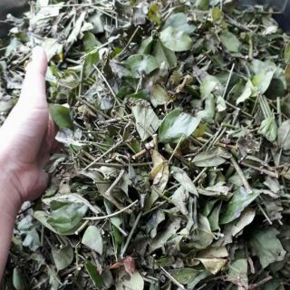 Chè vằng