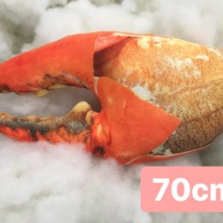 Gối ôm càng cua 3D