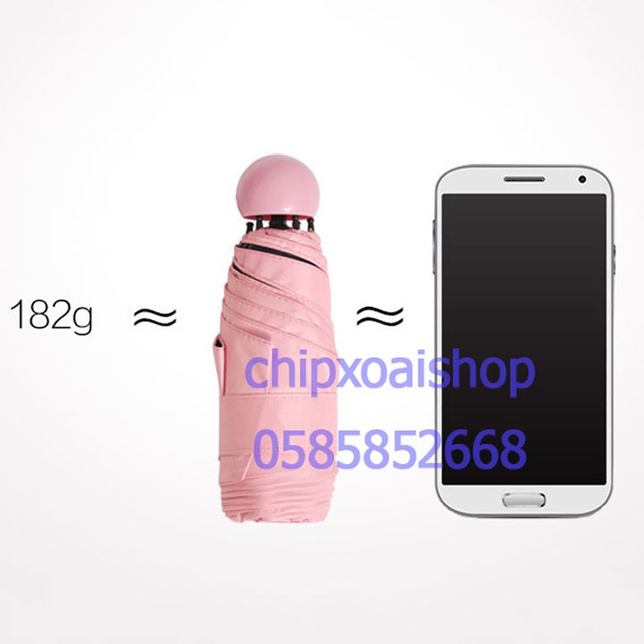 Ô Dù Trong Suốt chuyên Chụp Ảnh