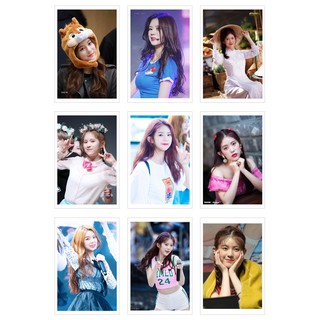 Lomo Card Ảnh DAISY - MOMOLAND ( 36 ảnh)