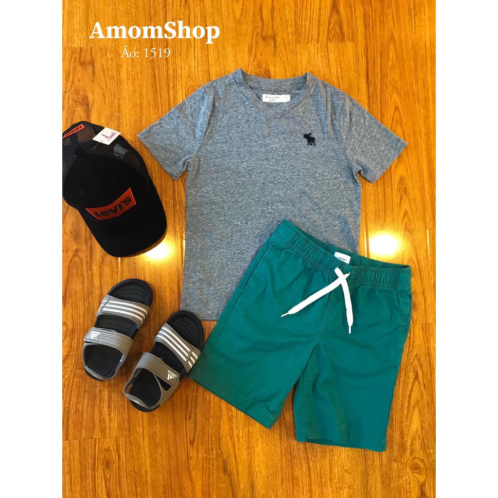 ÁO THUN A.B BÉ TRAI _VNXK _ 1519