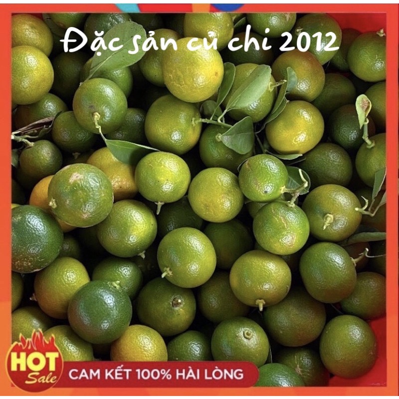 Quả tắc làm nước uống