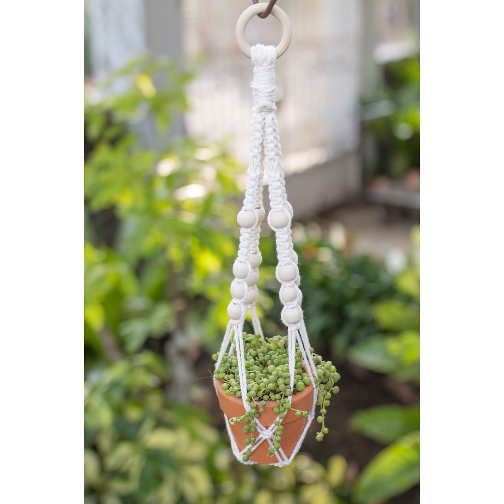 Dây treo chậu cây trang trí Macrame - MS: 08